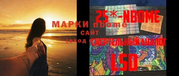 мдпв Абаза